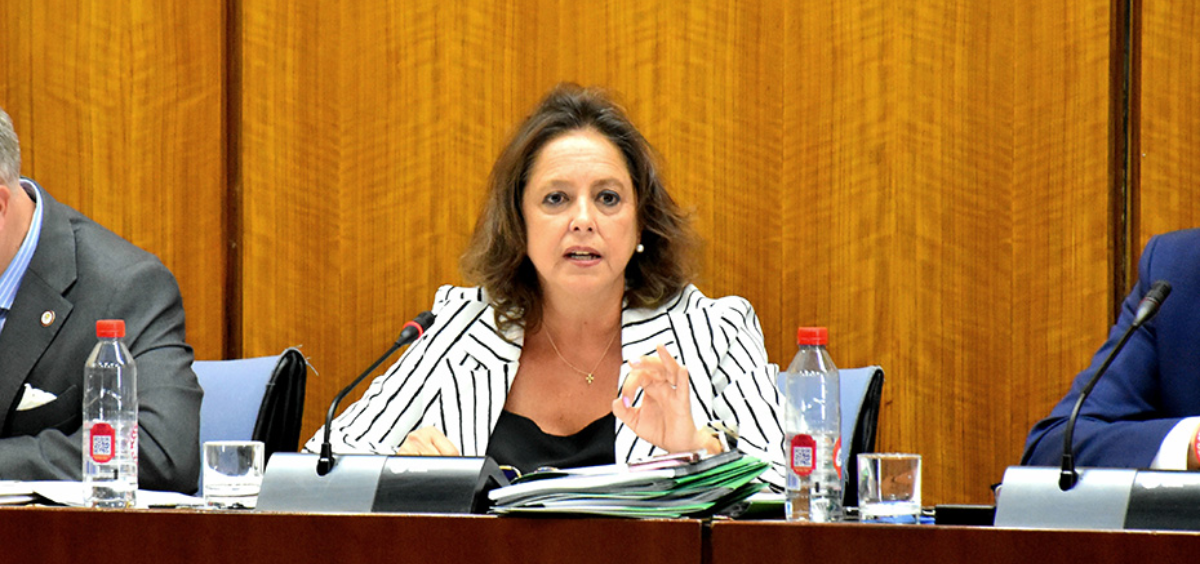 La consejera de Salud y Consumo, Catalina García, informa en comisión parlamentaria. (Foto: SAS)