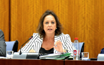 La consejera de Salud y Consumo, Catalina García, informa en comisión parlamentaria. (Foto: SAS)