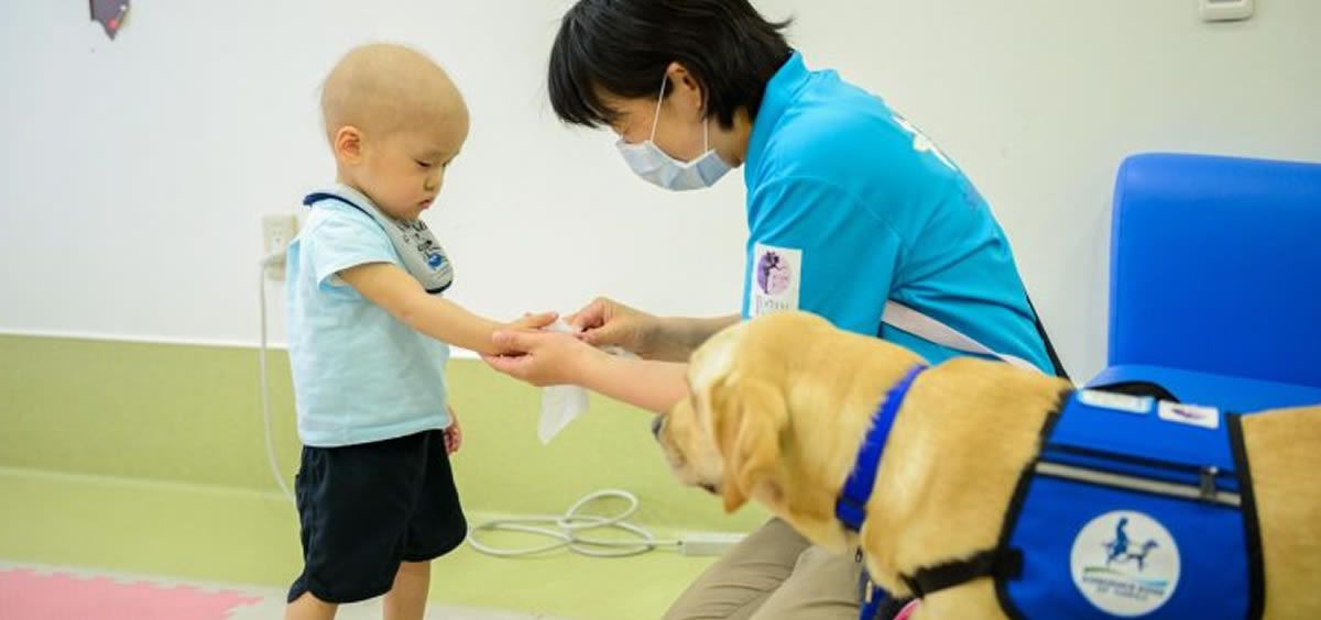 Perro de hospital en Japon (Foto: Shine On Kids)