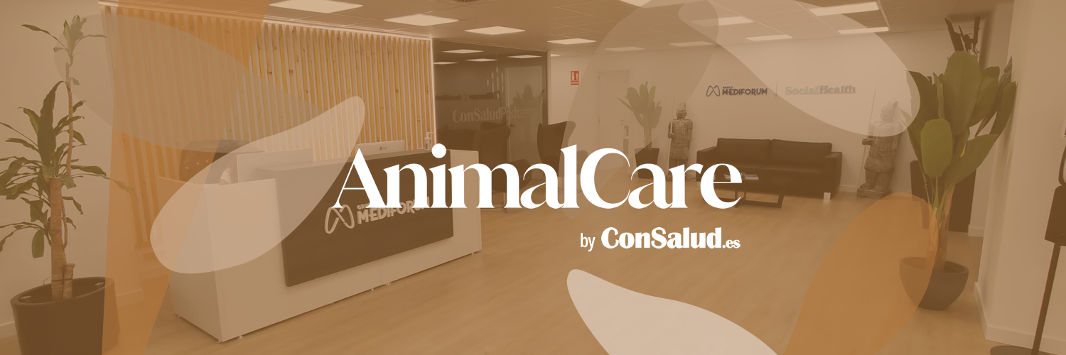 AnimalCare, nuevo vertical de ConSalud (Foto: ConSalud.es)