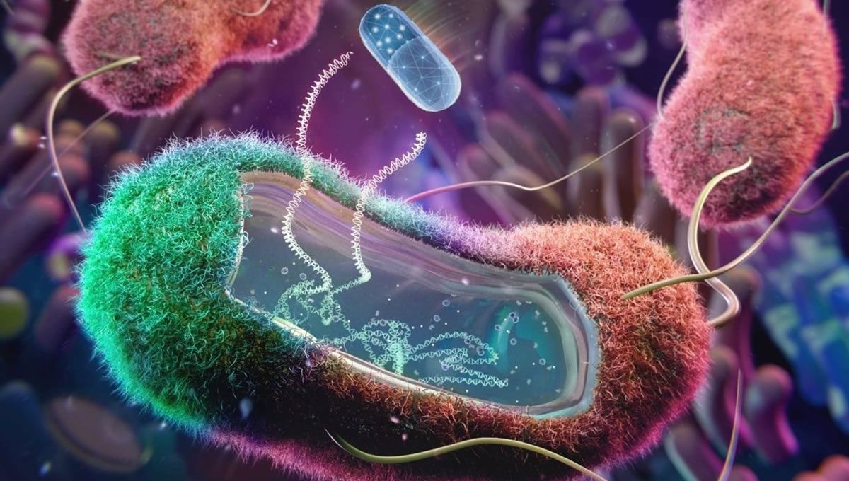 Bacteria (Foto: CIBER/EuropaPress)