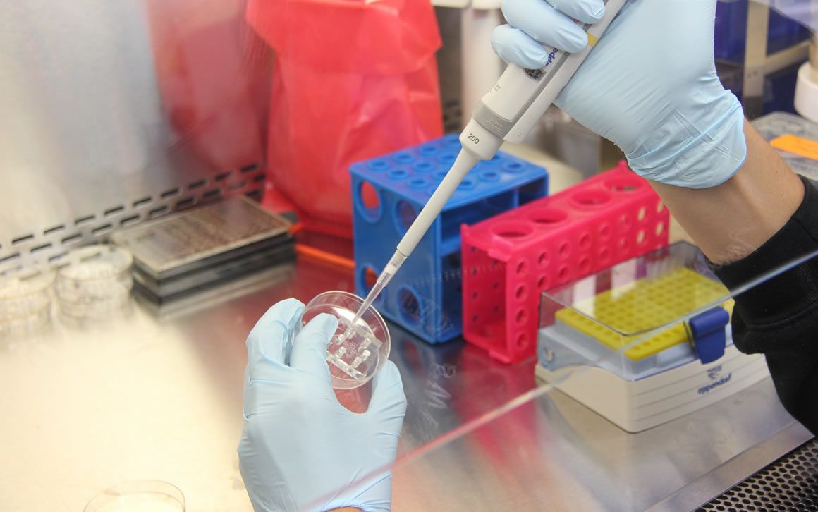 Madrid destinará 25 millones a ayudas para impulsar la investigación en biomedicina