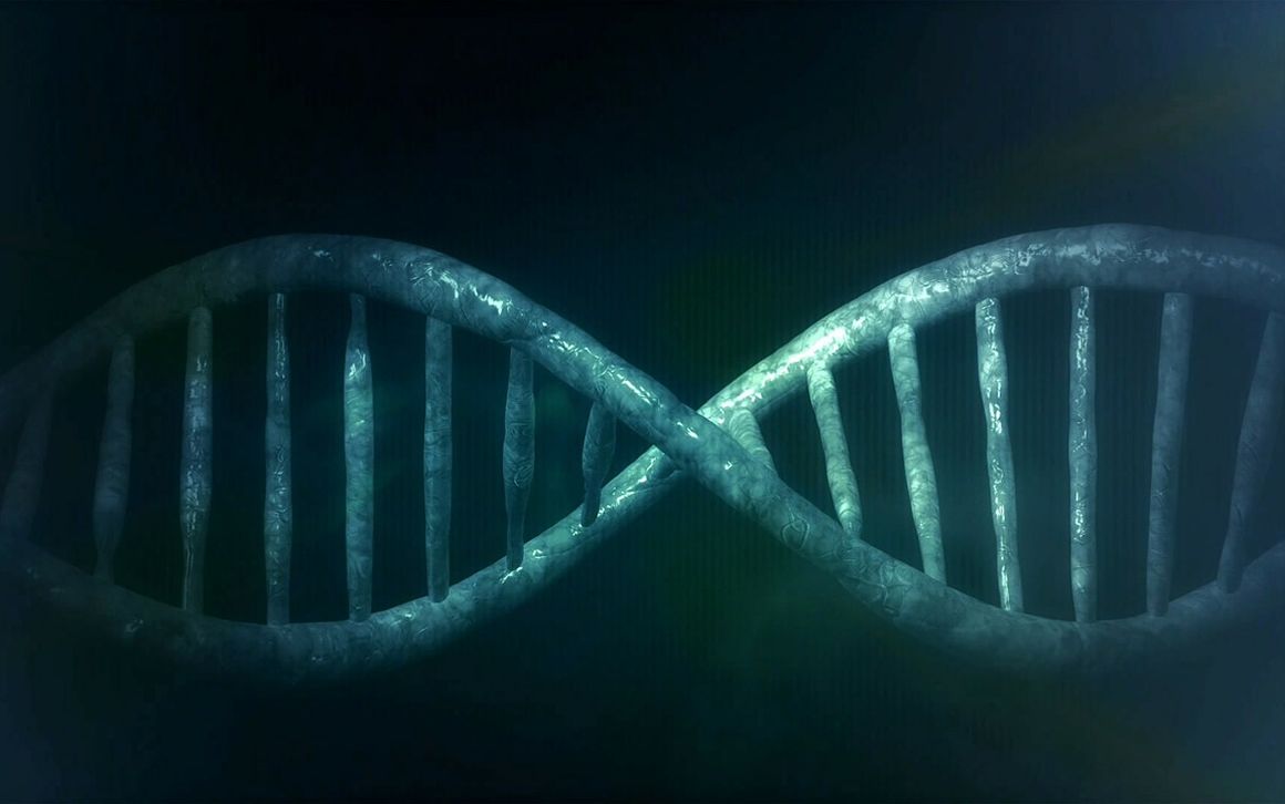 Hito científico: corrigen en embriones la mutación del gen que causa la muerte súbita