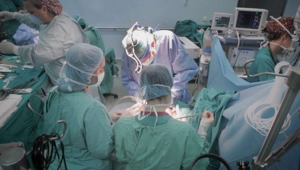 Profesionales del Servicio Andaluz de Salud realizan un trasplante. (Foto. Europa Press).