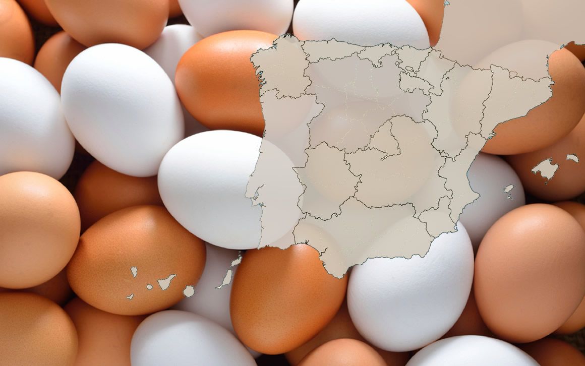 Inmovilizan en Bizkaia 20 toneladas de huevos contaminados con fipronil