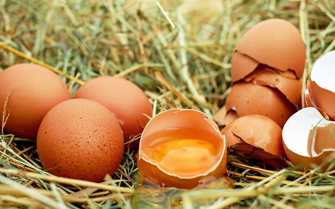¿Está España libre de riesgo de los huevos contaminados con pesticida?