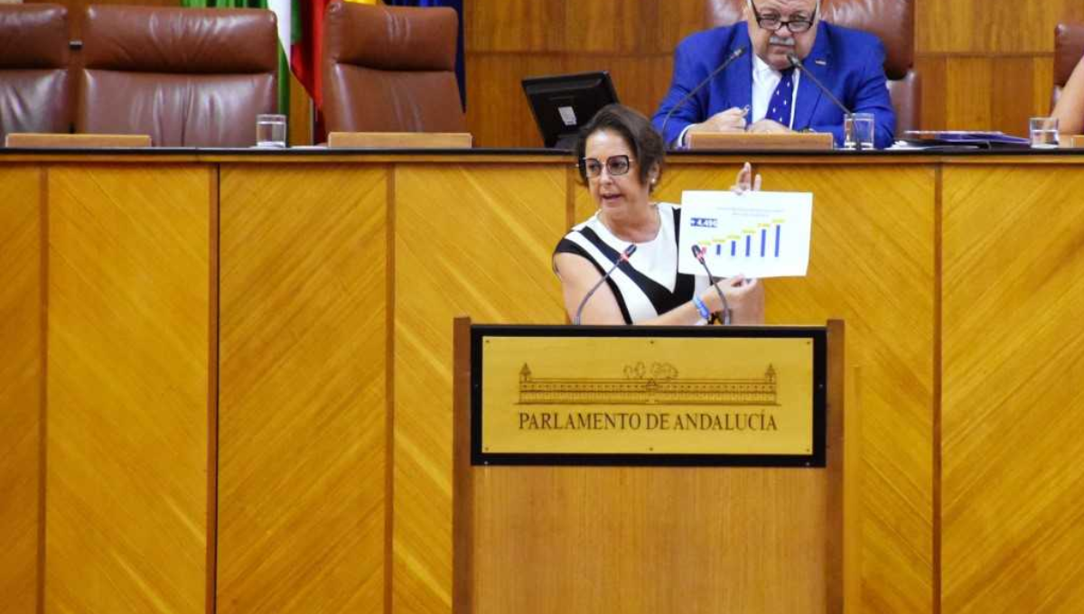 La consejera de Salud y Consumo de Andalucía, Catalina García, durante la sesión del parlamento regional. (Foto - SAS)