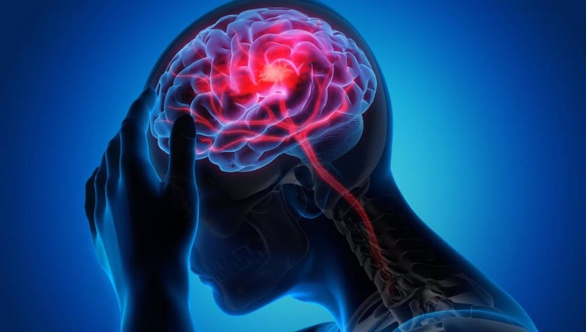 Estudios del cerebro para tratar la epilepsia. (Foto: Europa Press)