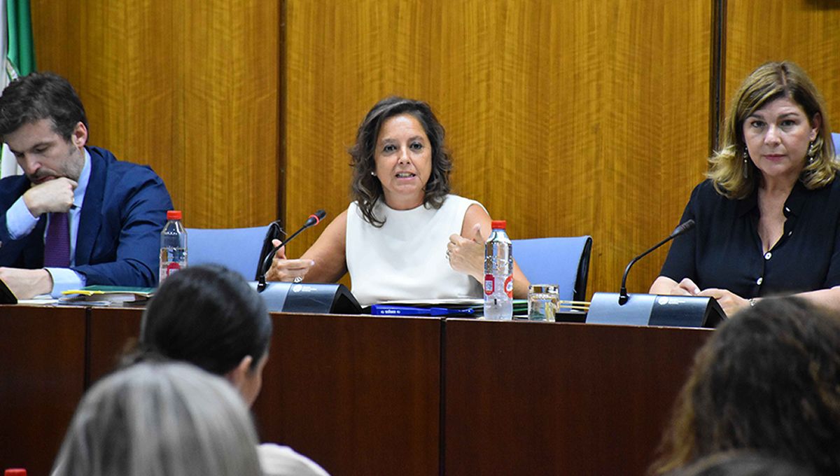 La consejera de Salud y Consumo, Catalina García, en la Comisión sobre la Infancia y la Adolescencia en el Parlamento andaluz (Foto: Junta de Andalucía)