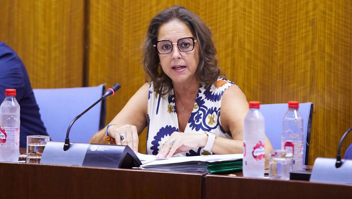 Catalina García, en la Comisión de Salud de Andalucía (FOTO: Junta de Andalucía)