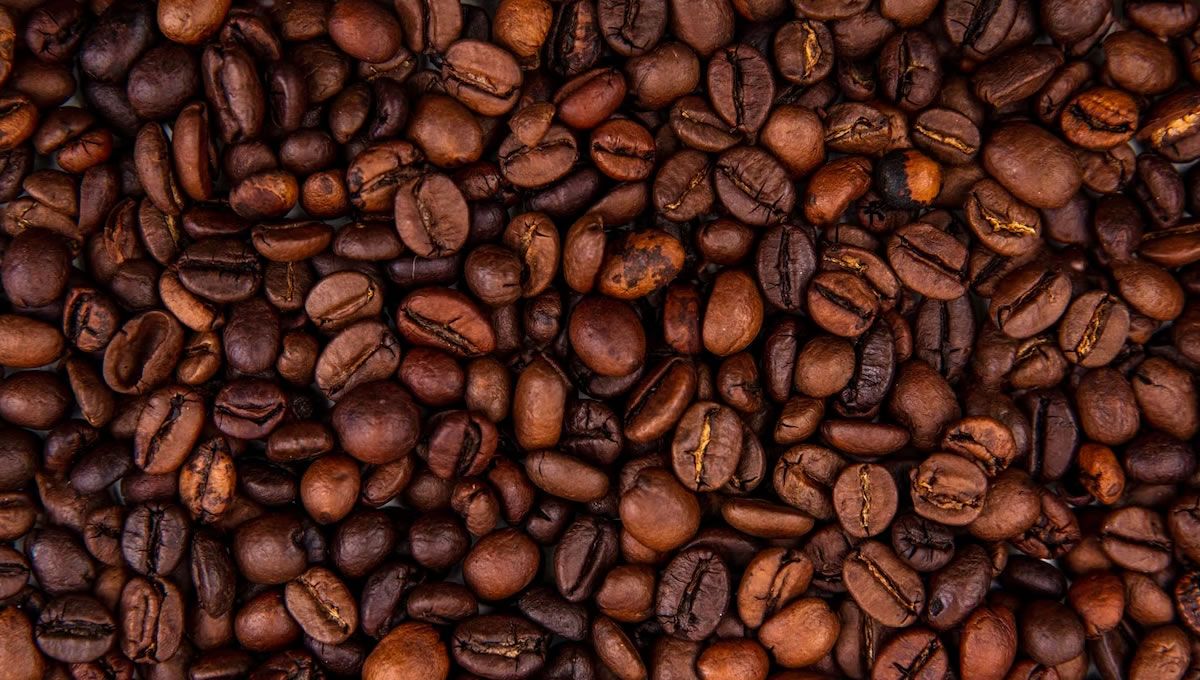 granos de café (foto: Freepik)