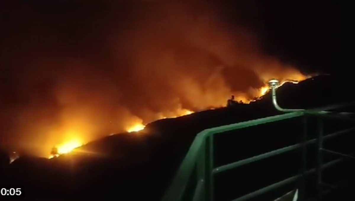 Incendio forestal (Foto: Gobierno de Canarias)