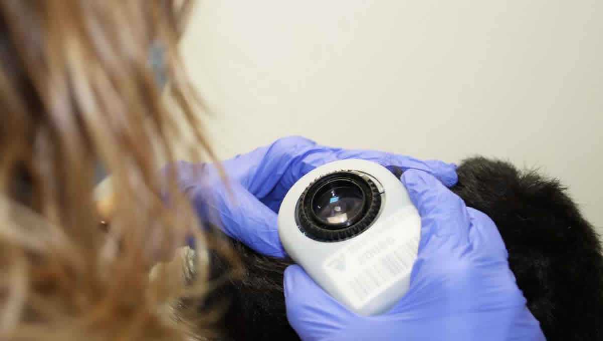 Una dermatóloga revisa el cuero cabelludo de un paciente en un hospital Ribera (Foto: Ribera)