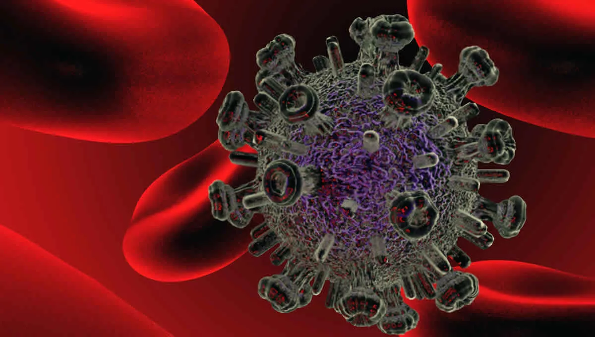 Representación gráfica en 3D del virus del VIH. (Foto: Comunicación CSIC)