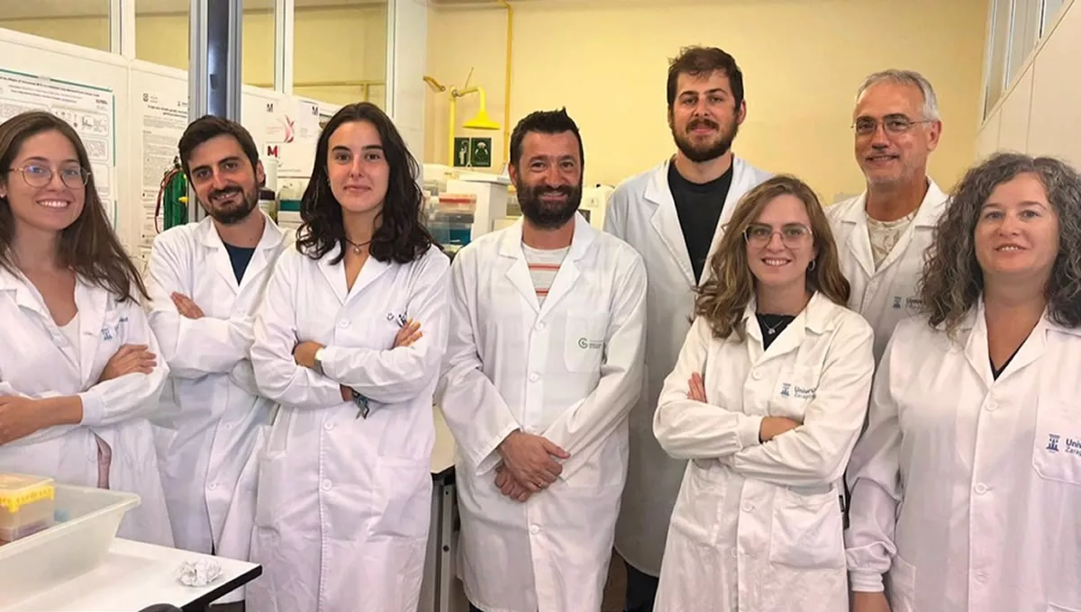Investigadores de la Universidad de Zaragoza. (Foto. UZ)