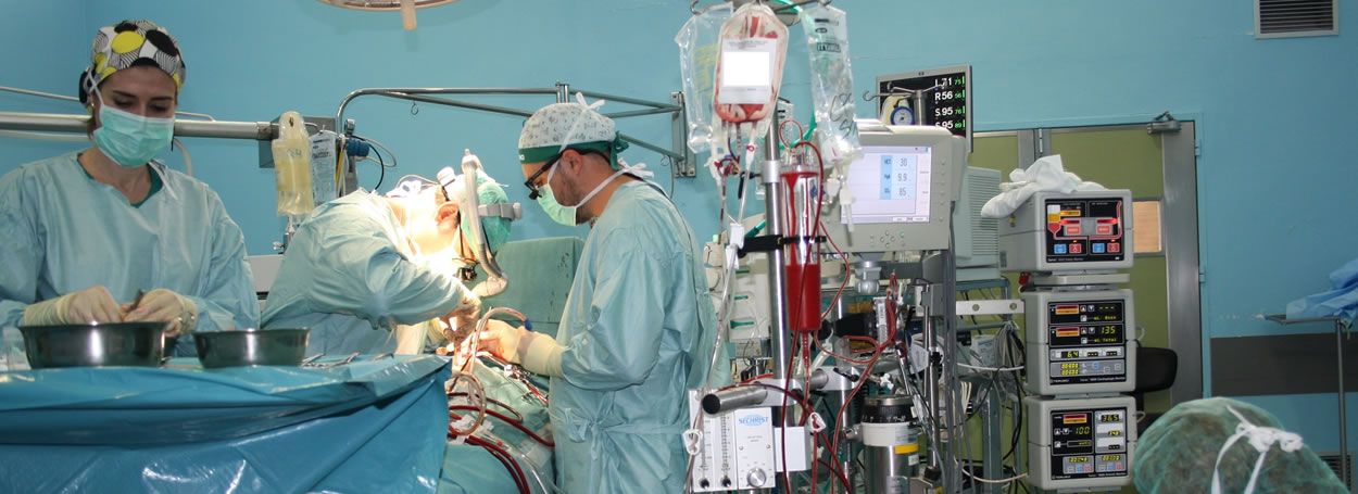 Las urgencias hospitalarias han registrado un aumento del 1,32%, habiendo sido atendidas 569.279.