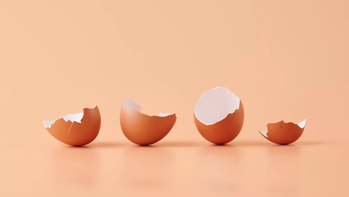 Cáscaras de huevo (Foto: Freepik)