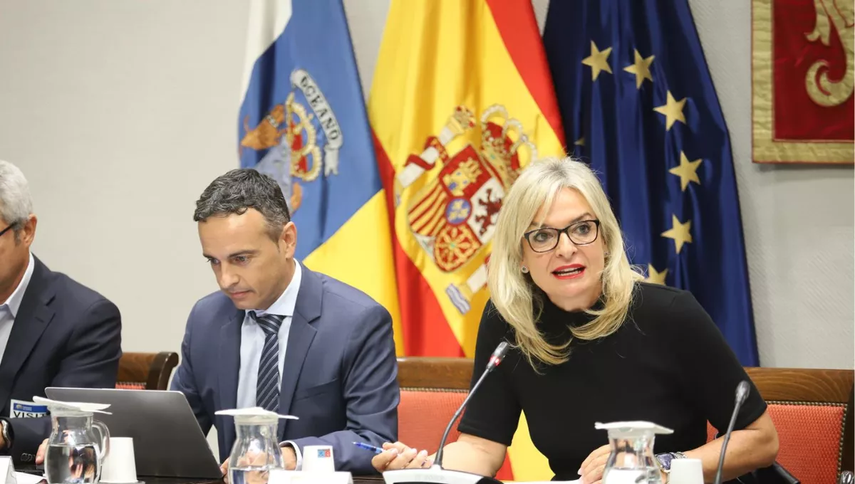 La consejera de Sanidad de Canarias, Esther Monzón, presenta los presupuestos 2024. (EP)