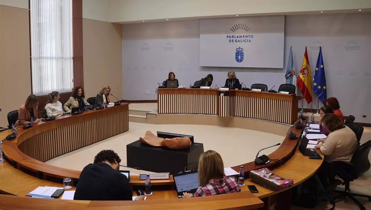 Comisión de Sanidad, Política Social y Empleo del Parlamento de Galicia (Foto: Parlamento)