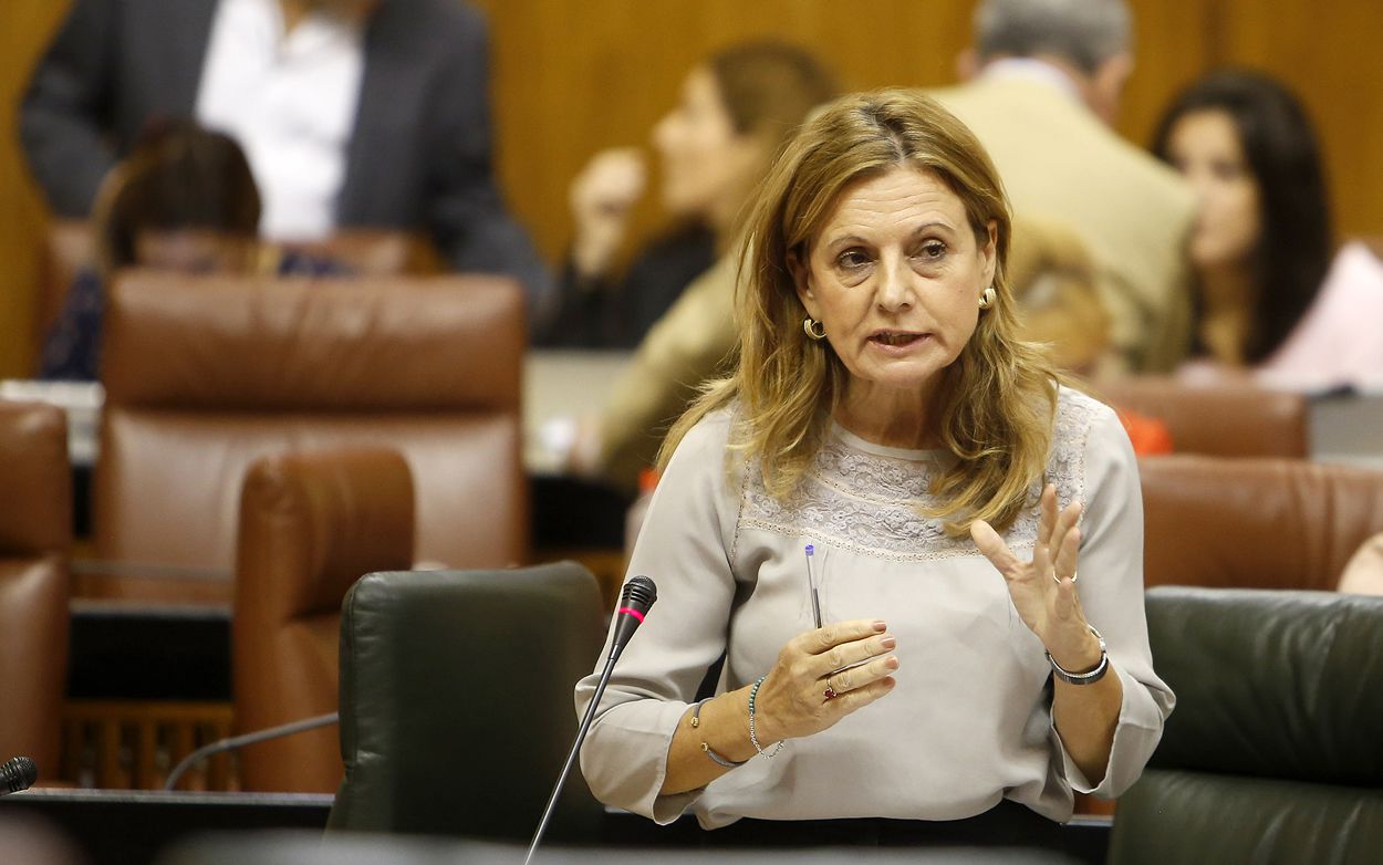 Marina Álvarez, consejera de Salud de Andalucía, interviniendo en el Parlamento andaluz.