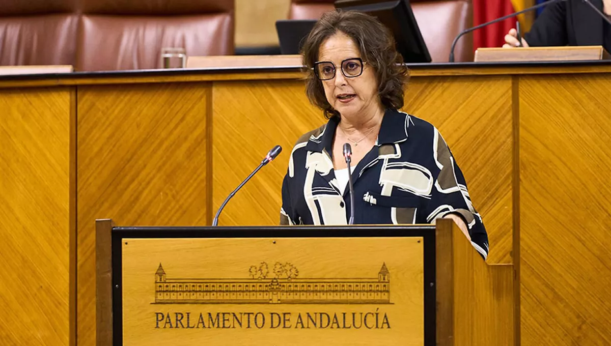 La consejera de Salud y Consumo, Catalina García, interviene en el Parlamento andaluz. (Foto: Junta de Andalucía)