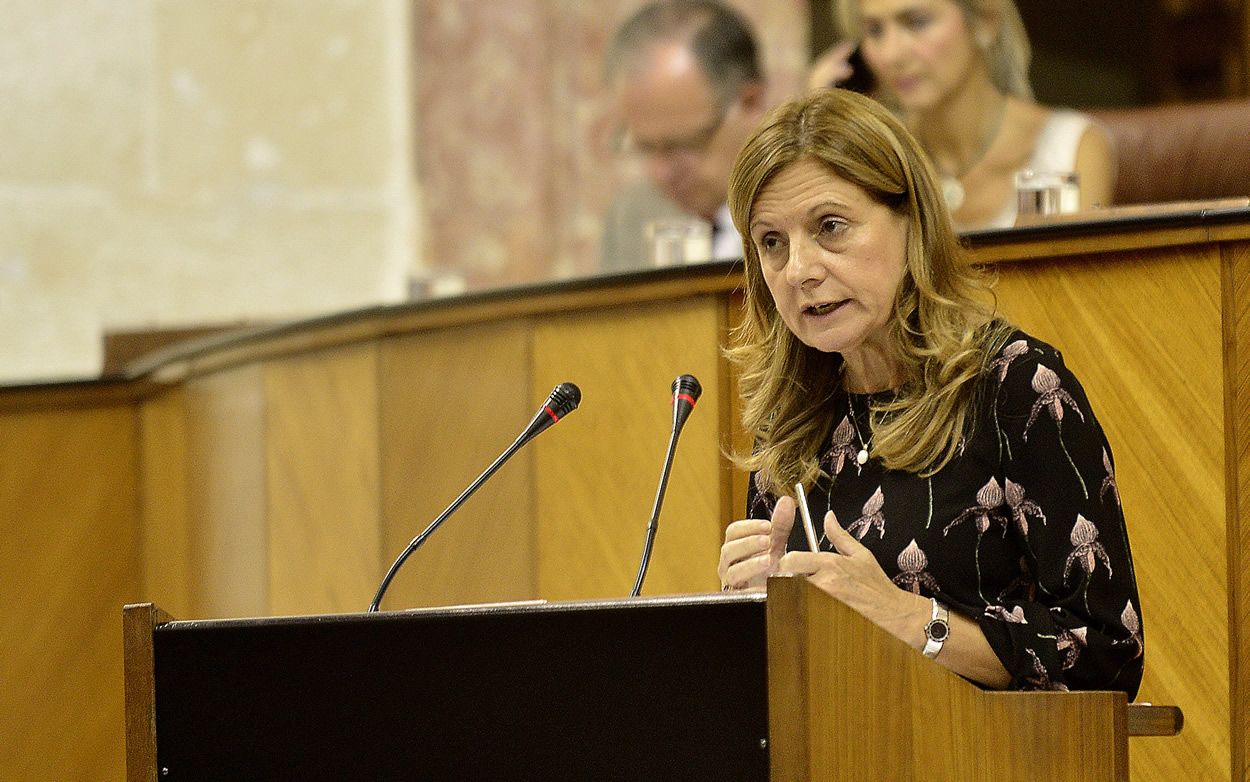 Marina Álvarez, consejera de Salud de Andalucía, interviniendo en el Parlamento andaluz.