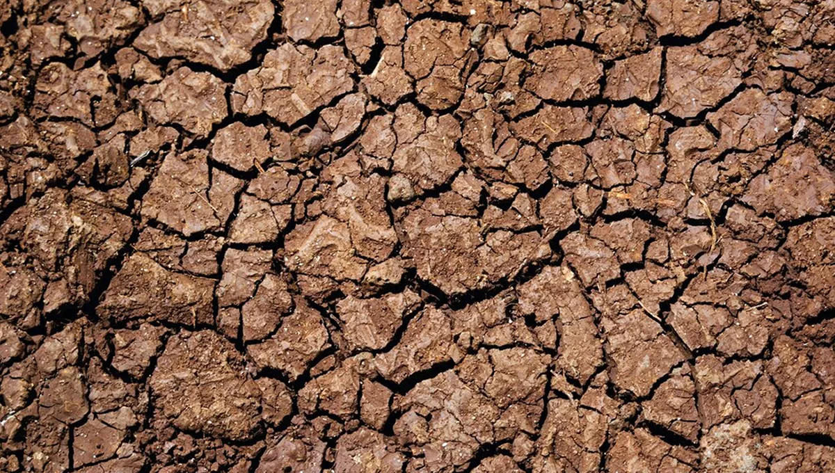 Sequía (Foto: Freepik)