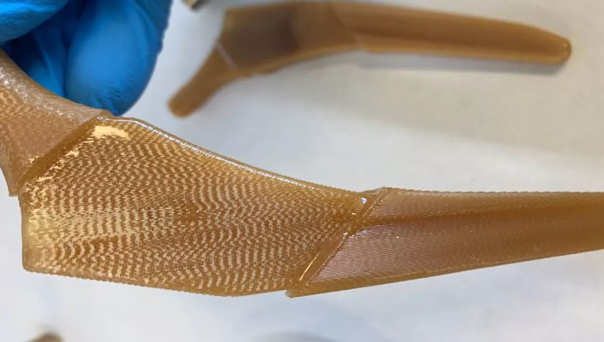 Un equipo de la UCA diseña un biomaterial hecho con residuos de remolacha para regenerar huesos (Foto: Fundación Descubre)