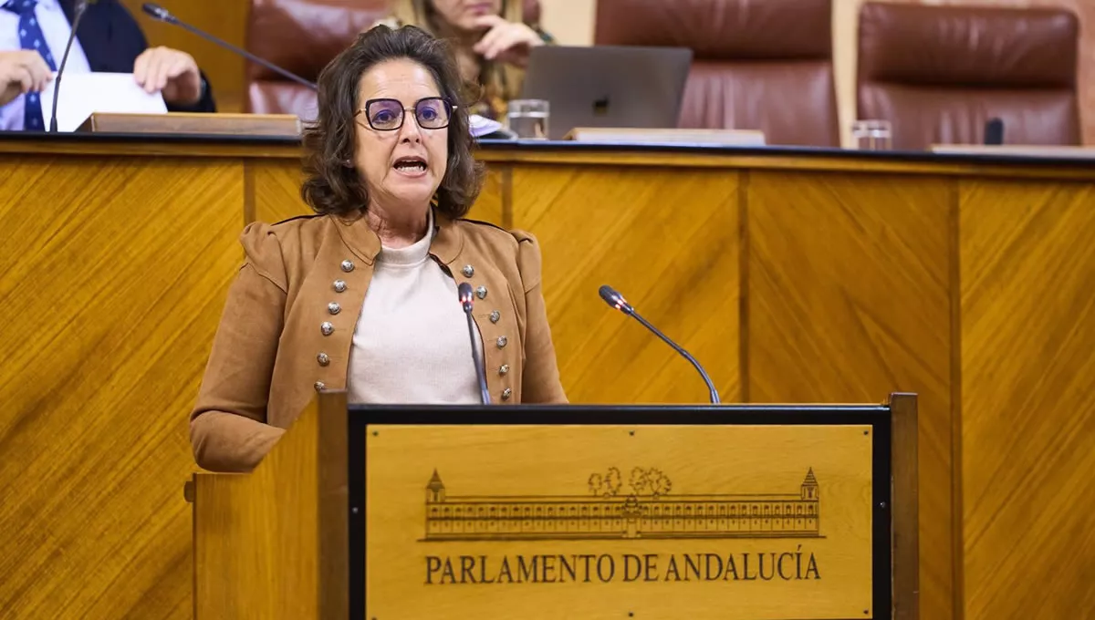 Catalina García compereciendo en el Parlamento de Andalucía Fuente EP
