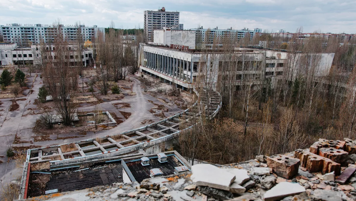 Estudiar lobos de Chernóbil podría ayudar a comprender mejor el cáncer (Foto: Freepik)