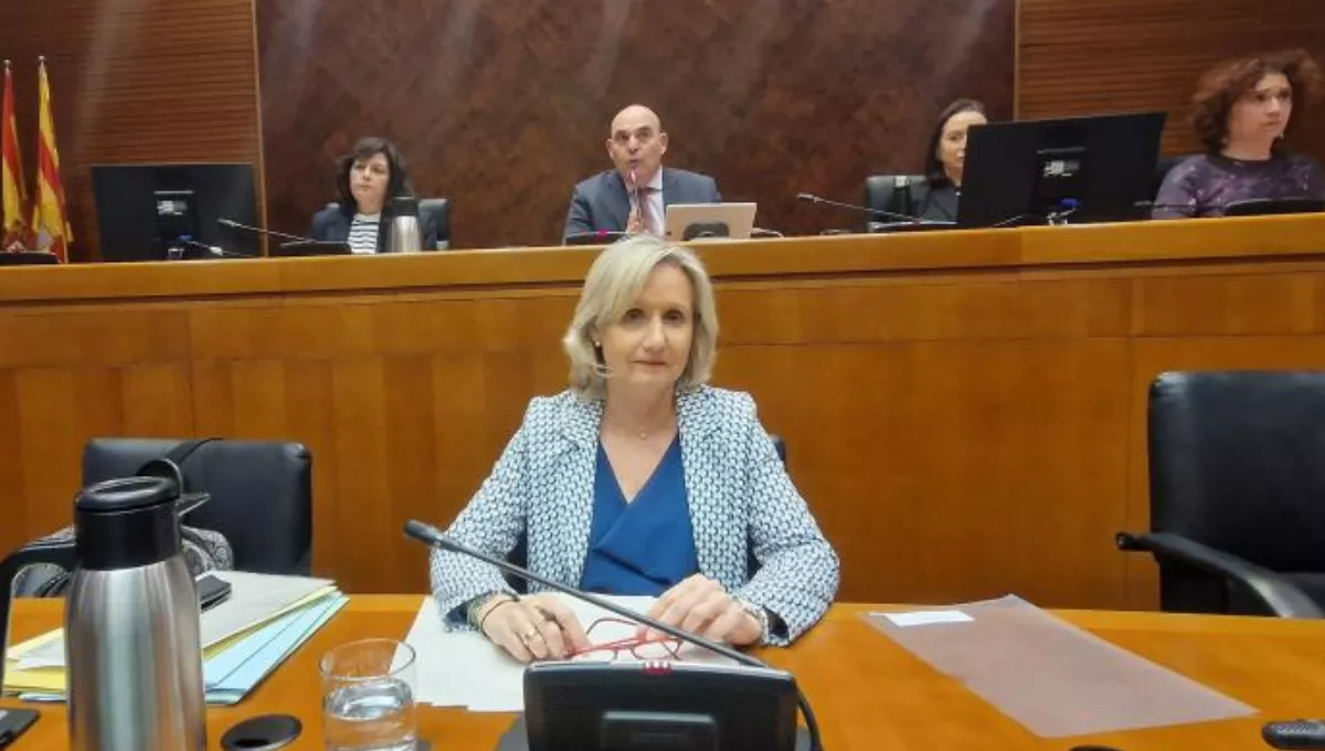 La directora gerente del Servicio Aragonés de Salud, Ana Castillo, en las Cortes regionales. (GA)