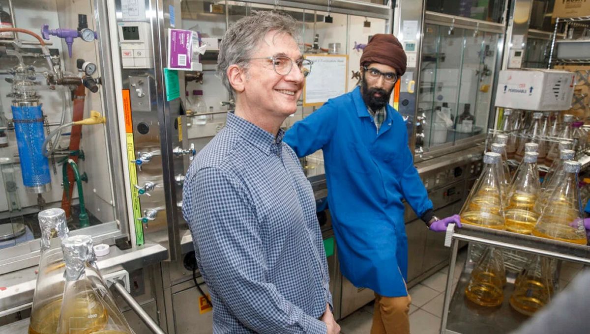 Los coautores de la investigación en superbacterias Daniel Kahne y Karanbir Pahil en el laboratorio (Foto. Kris Snibbe de Harvard)