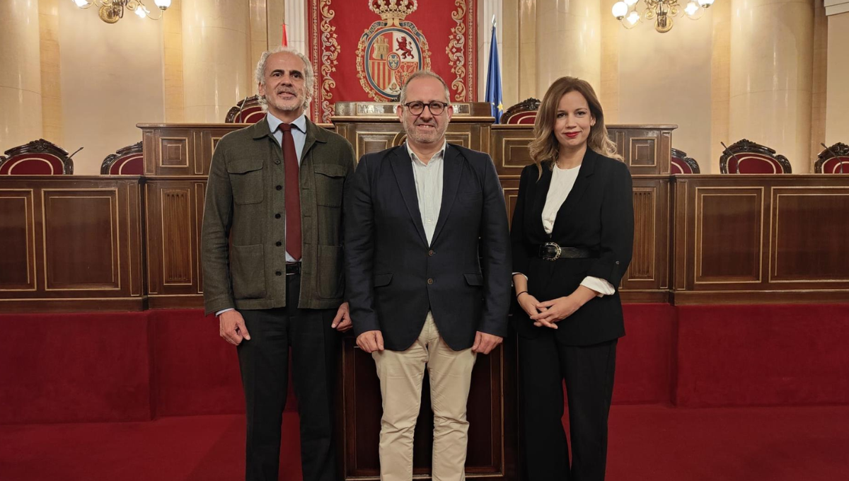 El presidente del Colegio de Médicos de Melilla, Justo Sancho Miñano, junto a los senadores del PP Isabel Moreno y Enrique Ruiz Escudero. (EP)