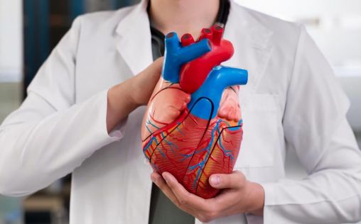 Cardiología, un año más fuera del pódium MIR: Nunca había generado tan poco interés entre el TOP
