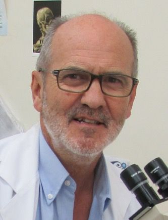 Dr. José Manuel Aguirre Urizar, Catedrático de Estomatología en la Universidad del País Vasco (Foto cedida a ConSalud)