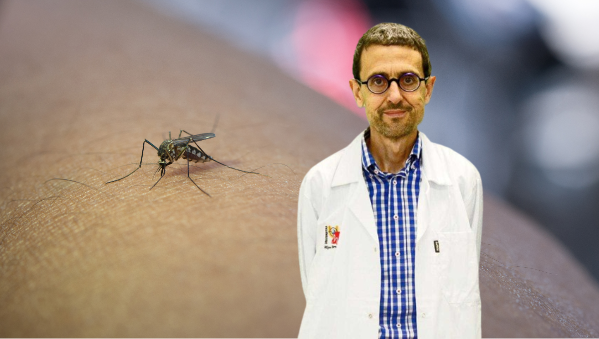 El médico internista de la SEMI, José Manuel Ramos Rincón, analiza en ConSalud.es la situación actual de la malaria (Foto. Montaje)