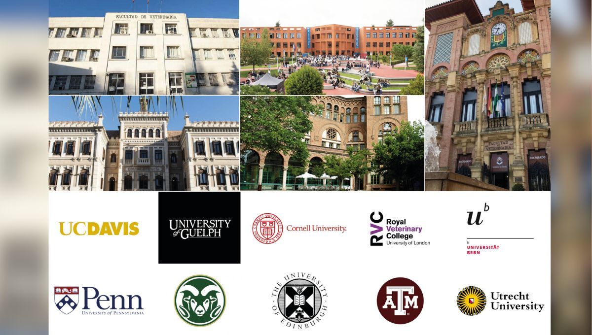 Ranking mejores universidades de veterinaria de España y el mundo (Montaje Consalud)