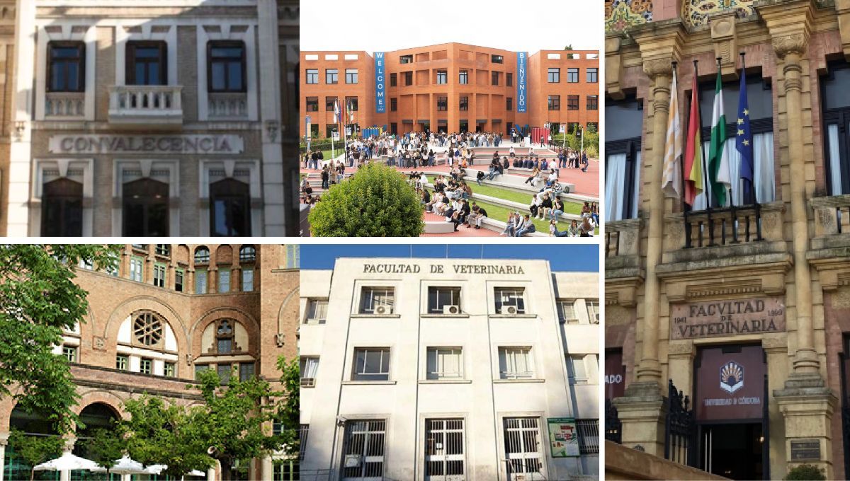 Raking de las 5 mejores universidades de veterinaria de España (Montaje Consalud)
