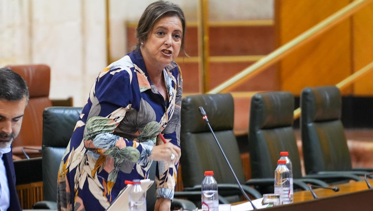 La consejera de Salud y Consumo de la Junta de Andalucía, Catalina García, en el Pleno del Parlamento. (EP)