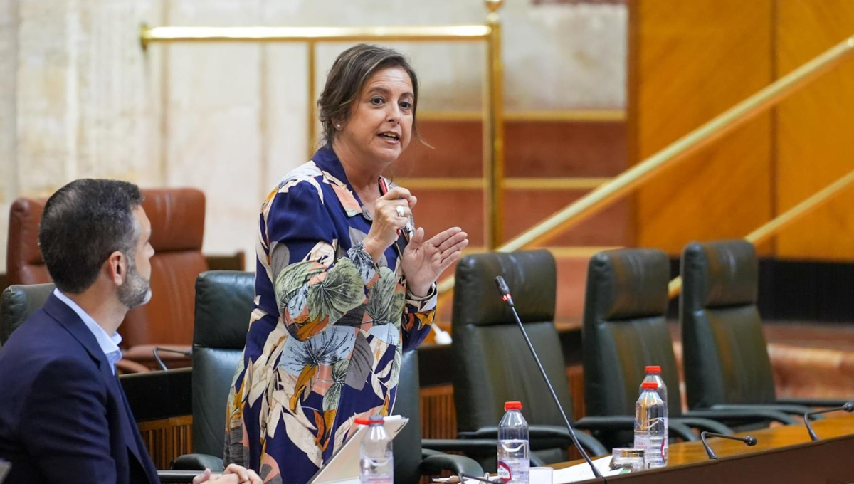 La consejera de Salud y Consumo de la Junta de Andalucía, Catalina García, en el Pleno del Parlamento del 16 de mayo de 2024. (Foto: Europa Press)