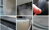 Imágenes de mosquitos tigre en el interior de vehículos