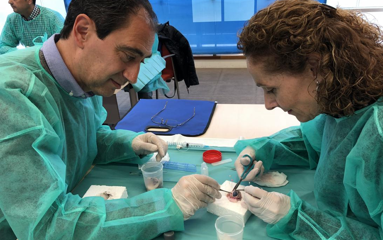 En Castilla-La Mancha, durante el año pasado se extrajeron un total de 170 córneas y se realizaron un total de 134 implantes de este tejido.