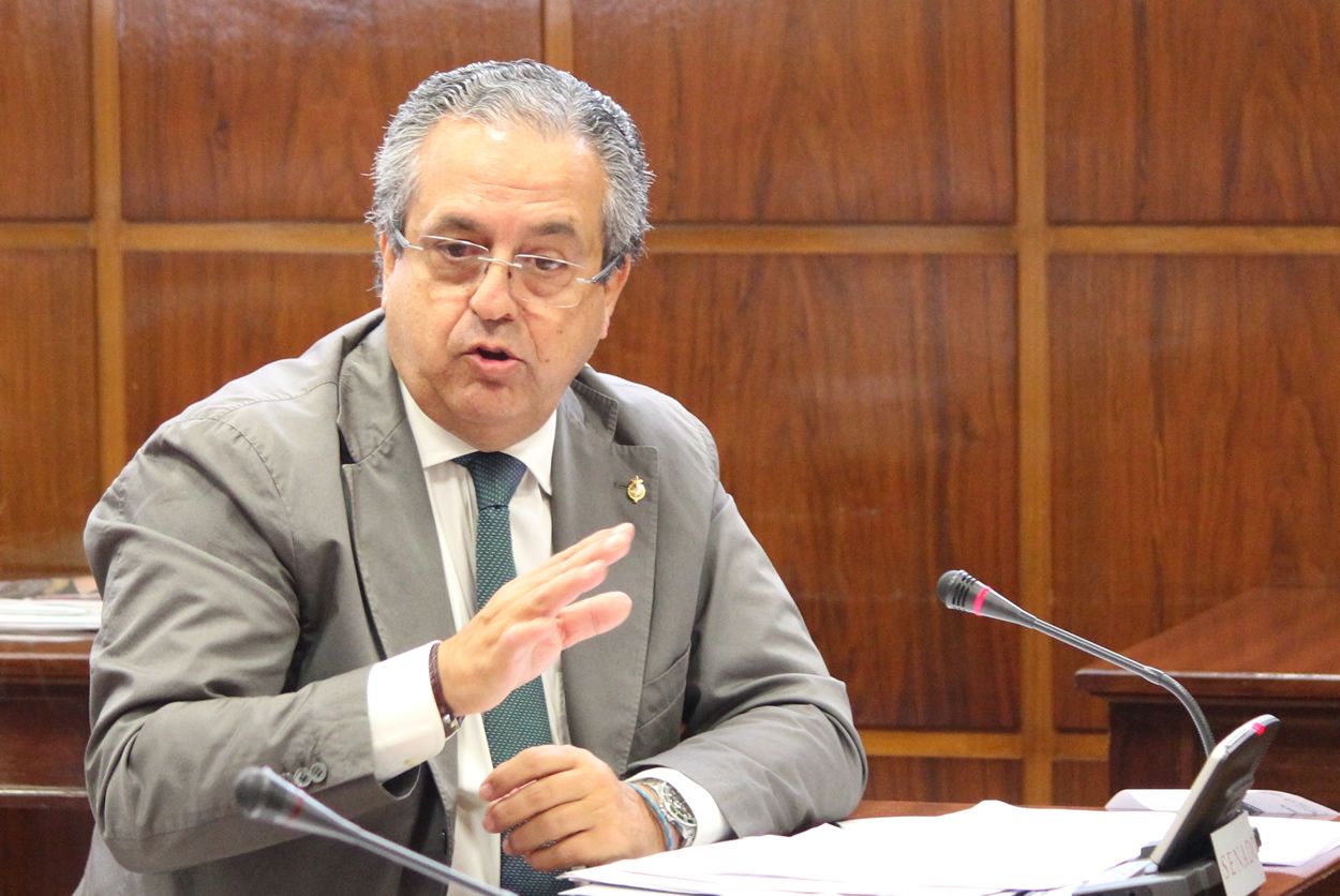 Antonio Alarcó, portavoz de Sanidad del PP en el Senado