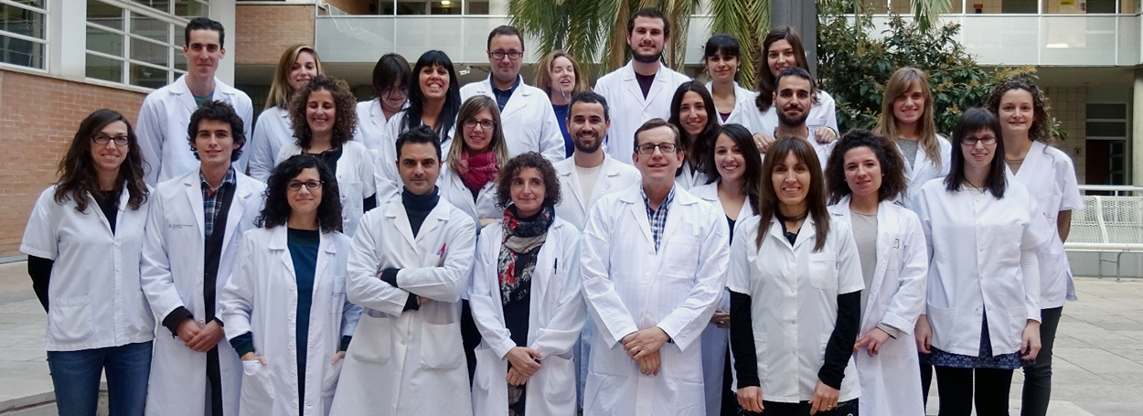 En la imagen,  investigadores del Centro de Investigación Biomédica en Red de Fisiopatología de la Obesidad y la Nutrición, Jordi Salas y Mònica Bulló, primera fila, 2º y 3ª por la derecha.