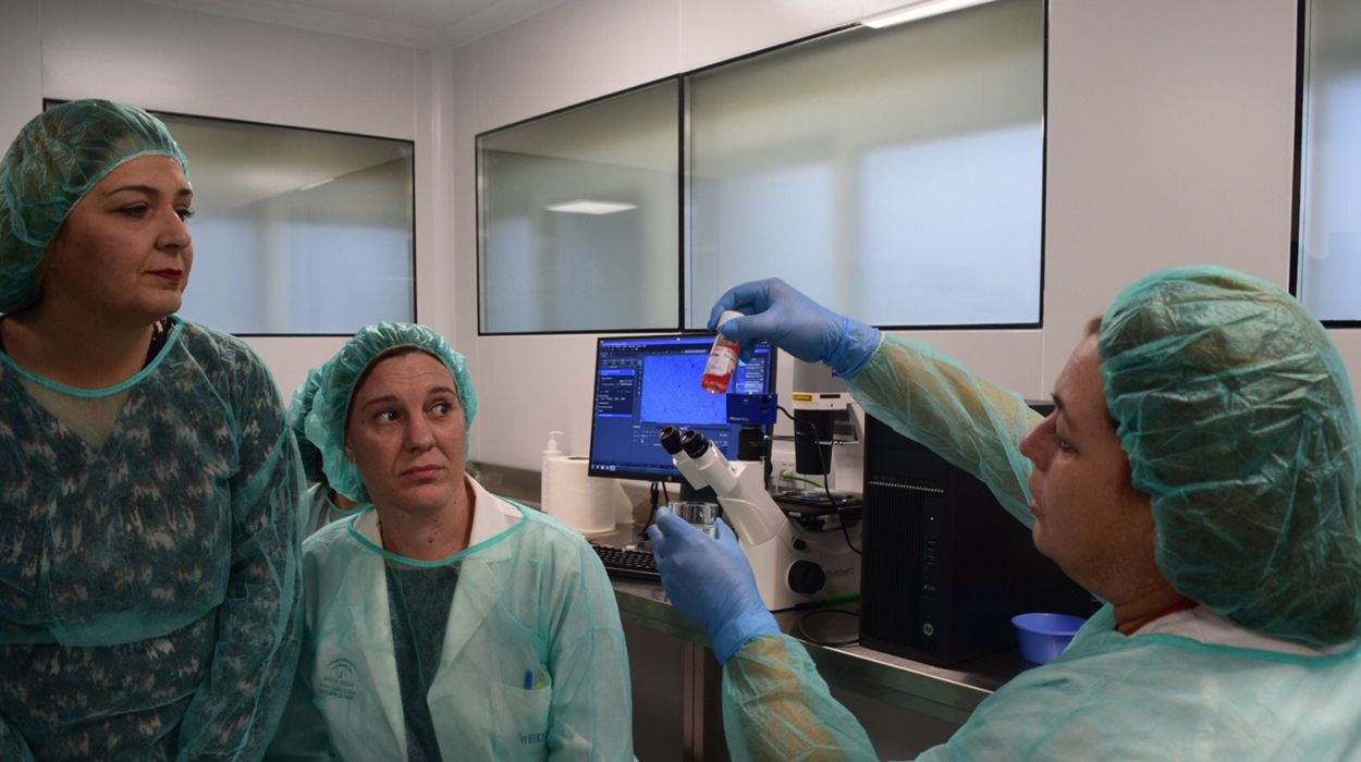 El Laboratorio de Medicina Ocular ha puesto en marcha programas de trasplante de córneas con técnicas novedosas