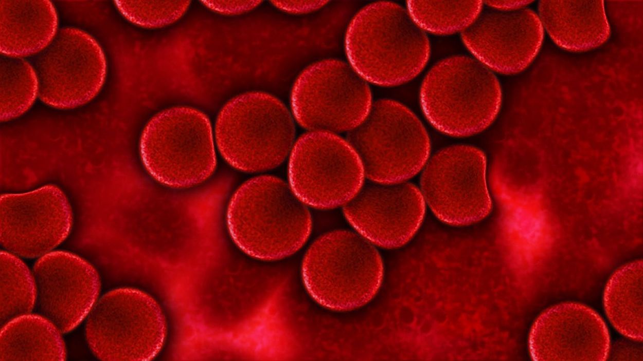 La biomatemática trata de calcular cómo recuperamos góbulos rojos, representando y modelizando procesos biológicos en el caso de una anemia.