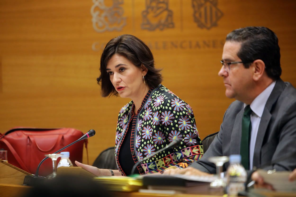 Carmen Montón, consejera de Sanidad de la Comunidad Valenciana