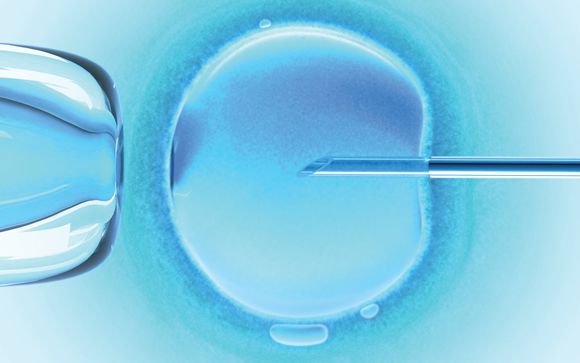 España, a la cabeza de Europa en tratamientos de reproducción asistida