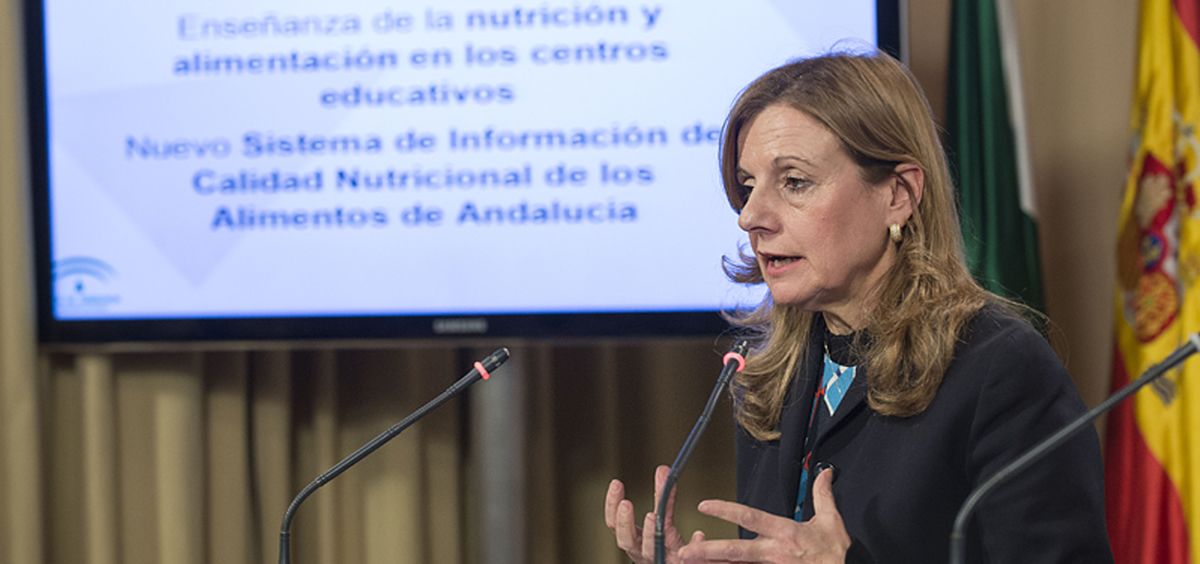 Marina Álvarez, consejera de Salud de Andalucía, presentando el proyecto de ley.