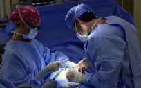 Los trasplantes de órganos sólidos se han incrementado en un 9,1%, fijándose en las 5.261 intervenciones exitosas en 2017